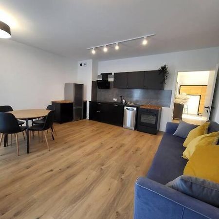Appartamento Duzy Apartament W Centrum - 3 Pokoje - Garaz Breslavia Esterno foto
