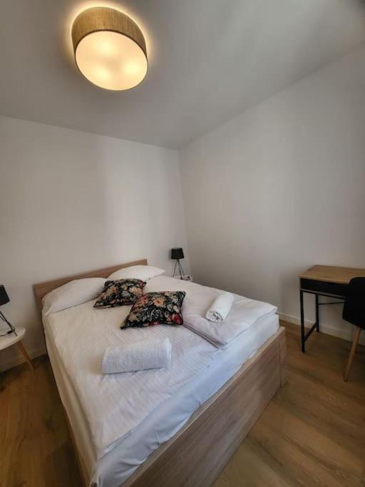 Appartamento Duzy Apartament W Centrum - 3 Pokoje - Garaz Breslavia Esterno foto