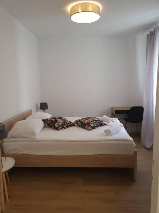 Appartamento Duzy Apartament W Centrum - 3 Pokoje - Garaz Breslavia Esterno foto