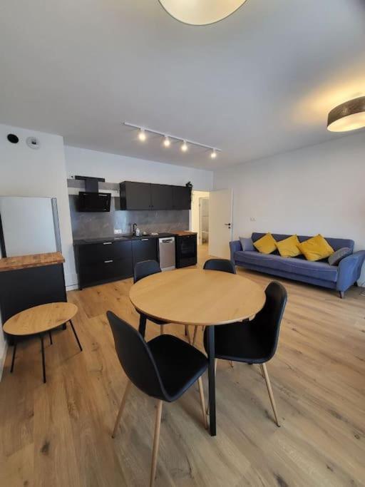 Appartamento Duzy Apartament W Centrum - 3 Pokoje - Garaz Breslavia Esterno foto