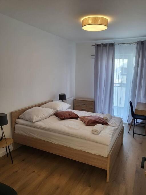 Appartamento Duzy Apartament W Centrum - 3 Pokoje - Garaz Breslavia Esterno foto